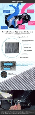 Referenznummer S1662 OE 96800069 Hape Carbon Automotive AC für Kabinenfilter von Chevrolet