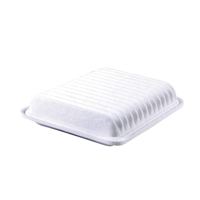 Aktualisieren Sie Ihren Daihatsu SIRION mit Universal Car Air Filter Cartridge und Luftreiniger