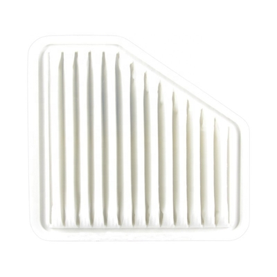Aktualisieren Sie Ihren Daihatsu SIRION mit Universal Car Air Filter Cartridge und Luftreiniger